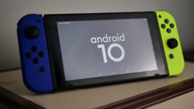 Nintendo Switch Android 10 port