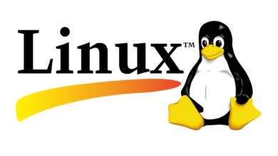 كيفية الاستفادة من نظام لينكس Linux الأسرع على أجهزة الحاسوب