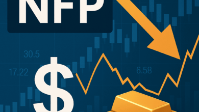 فك شفرة NFP كيف يهز تقرير الوظائف غير الزراعية أسواق الفوركس والذهب؟ 1